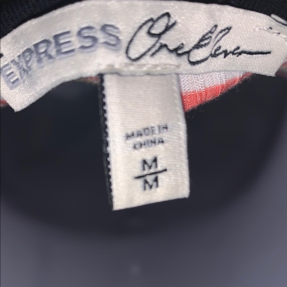 Express Multicolor Striped Ribbed Bodysuit - Picture 3 of 9